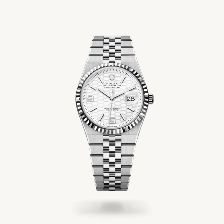 Rolex land-dweller in Oystersteel, M127234-0001* - Watches of Switzerland