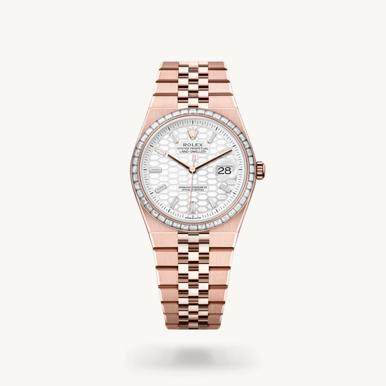 Rolex land-dweller in 18 ct Everose gold, M127285TBR-0002* - Watches of Switzerland