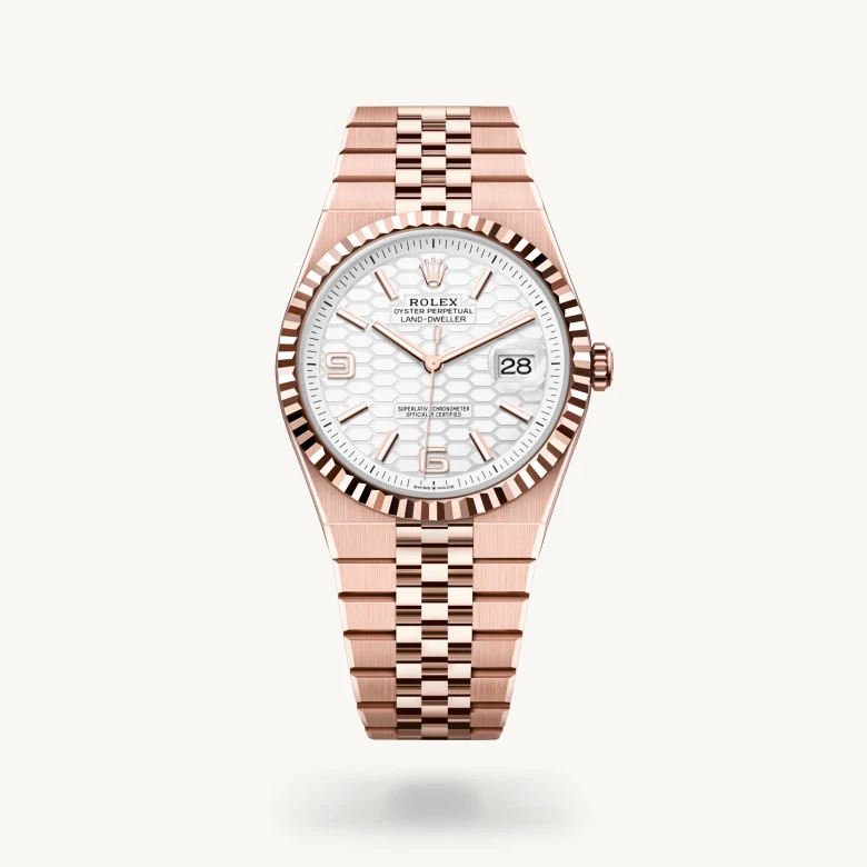 Rolex land-dweller in 18 ct Everose gold, M127335-0001* - Watches of Switzerland