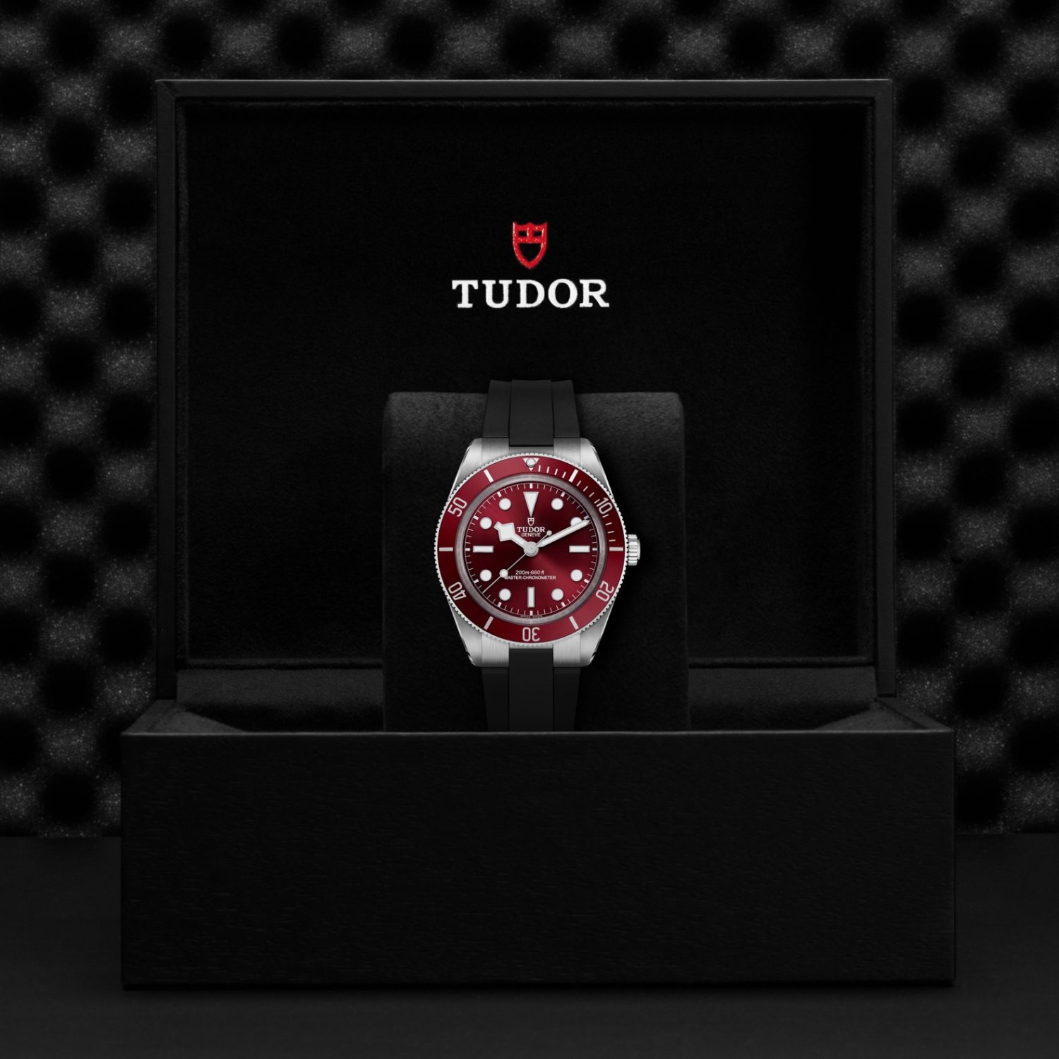 Tudor M7939A1A0RU-0003 BLACK BAY 58
